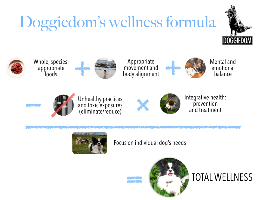 Wellness formula.001