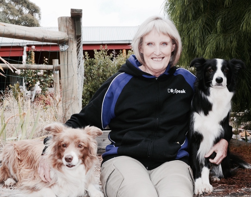 Keeping it positive with Tricia Dunlop of Dogspeak