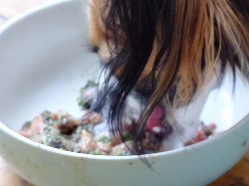 A few of my favourite things…..3 great foods for a healthy dog